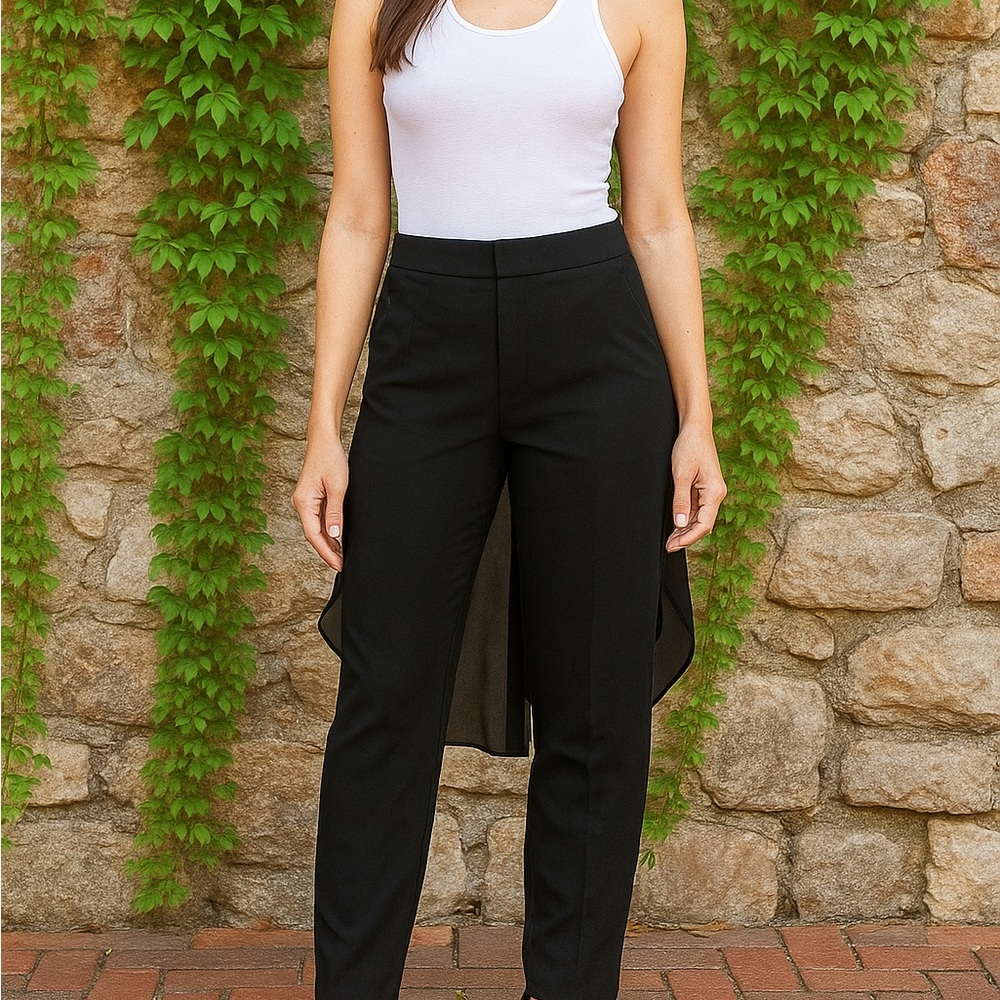 NWT HAUTE HIPPIE Luxury Black Silk Chiffon Skirted Overlay Pants, 6